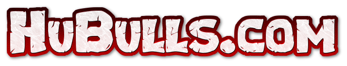 HuBulls.com